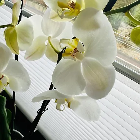 Lägenhet Ferienwohnung Obernkirchen